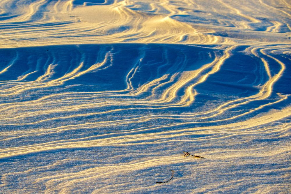 Photograph by Анатолий Стафичук