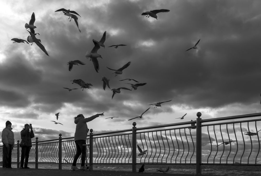 Photograph by Валерий Зарайсько