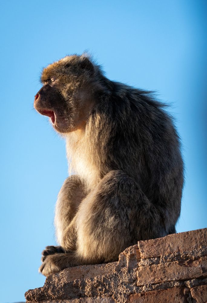 Photograph by Mohamed Haddad