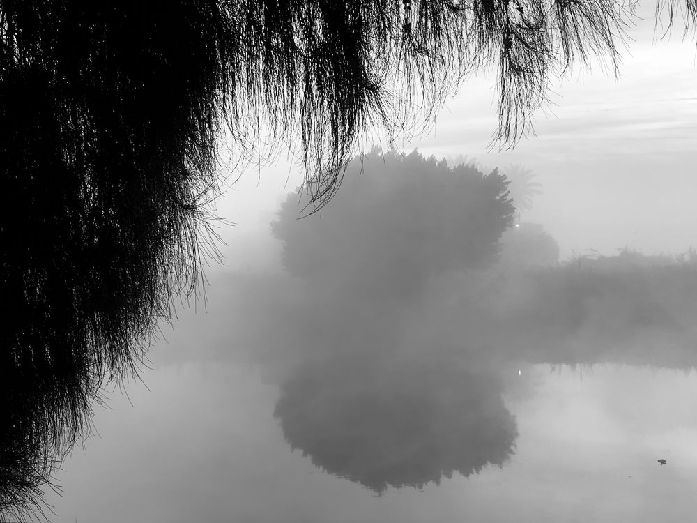 Photograph by  loai zedan