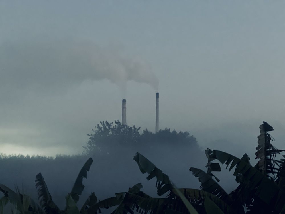 Photograph by  loai zedan