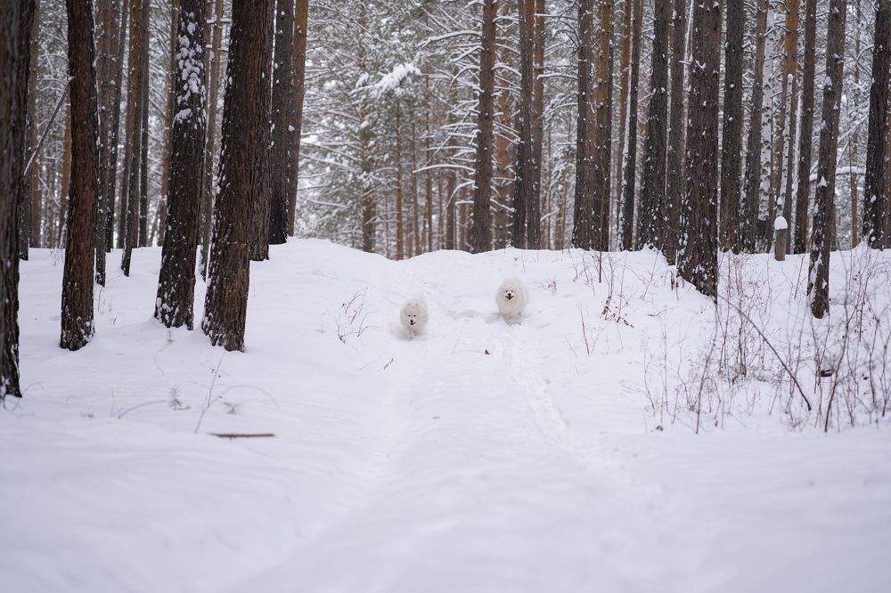 Photograph by Екатерина Чупрова