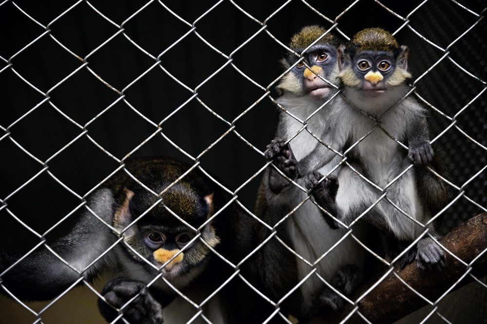 Photograph by Александр Козленков