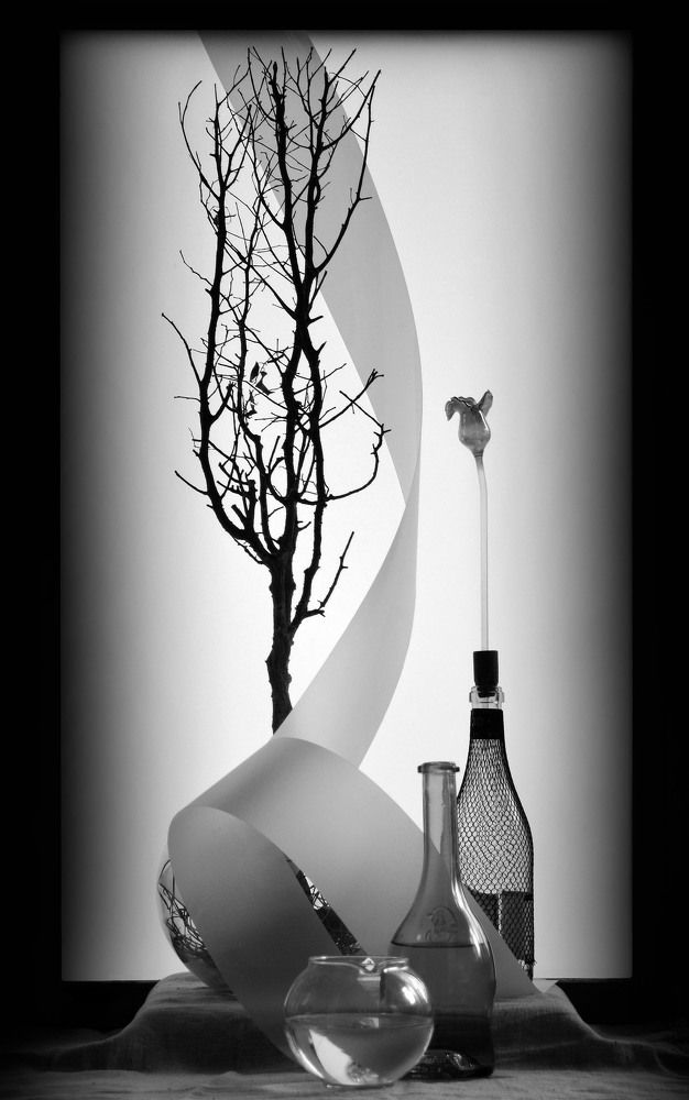 Photograph by Александр Зарх