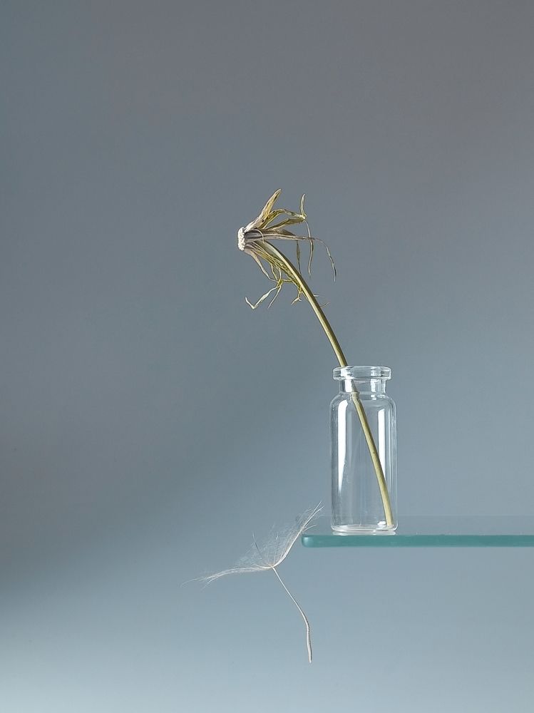 Фотография автора Татьяна Шахова