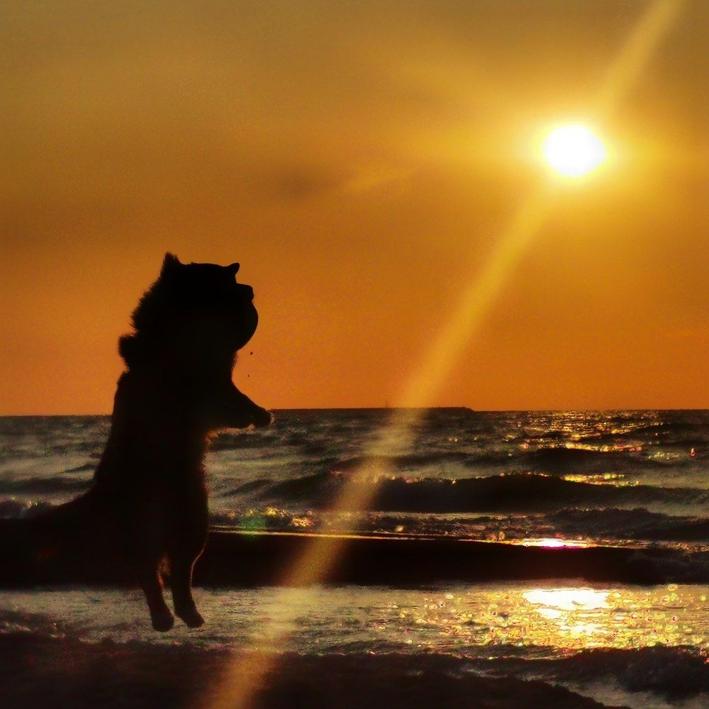 Photograph by Александр Козленков