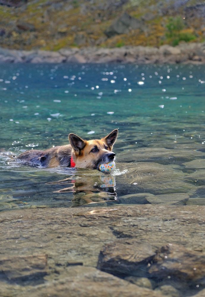 Photograph by Татьяна Глебова