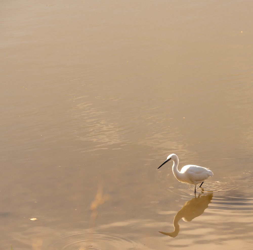 Photograph by Igor Shulkin