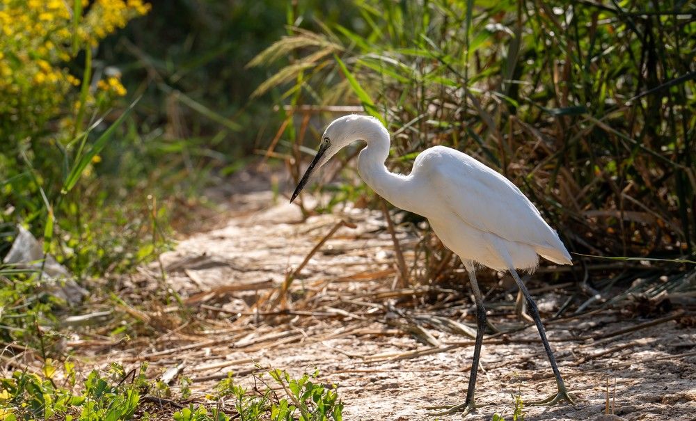 Photograph by Igor Shulkin