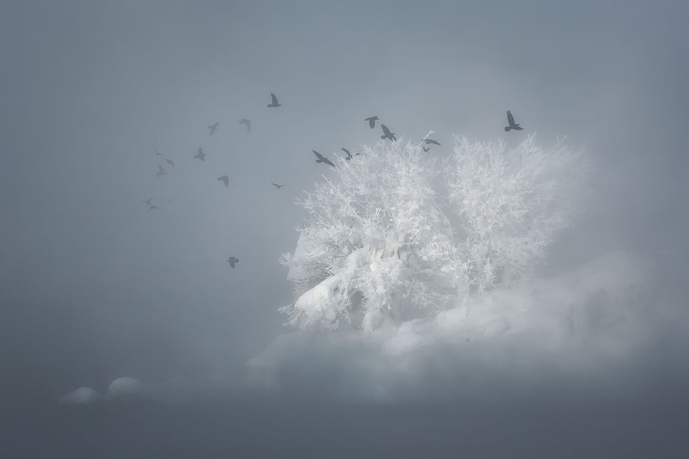 Photograph by Константин Маланин