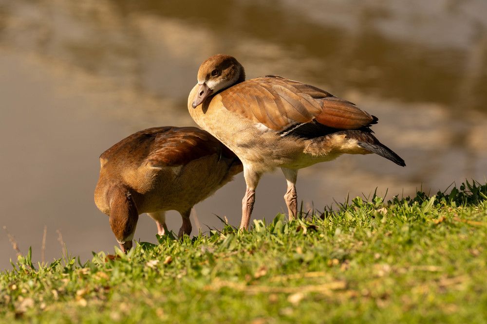 Photograph by Igor Shulkin