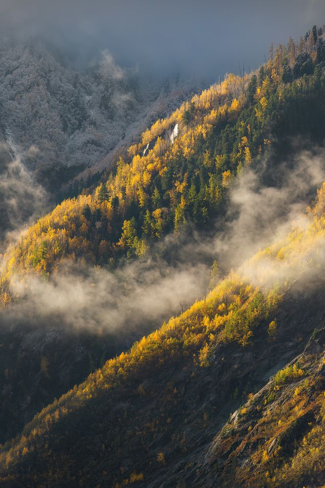 Линии Алтая