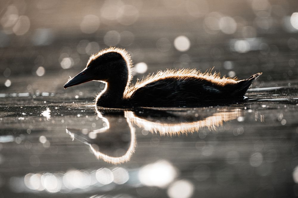 Photograph by Гукасян Геворк