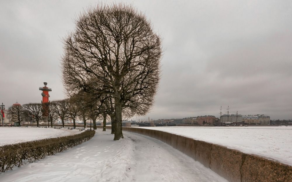 Фотография автора Дмитрий Климов