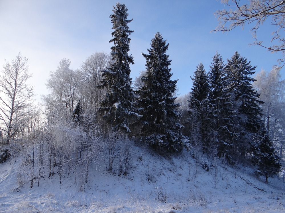 Photograph by Наталья Терентьева