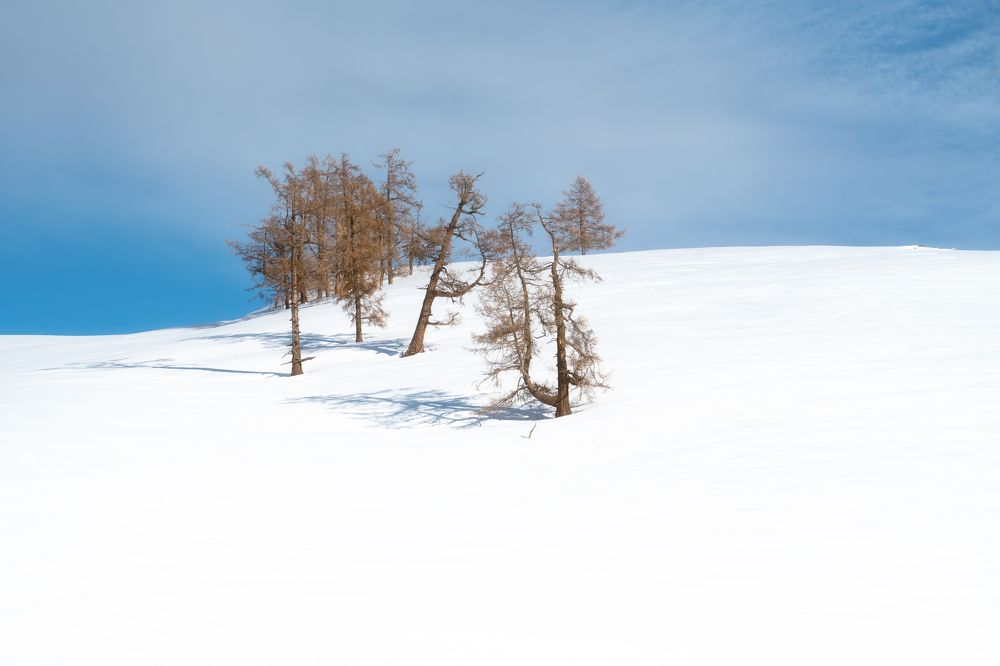 Photograph by 李长丰