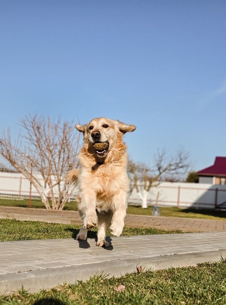 Photograph by Елена Ямнюк