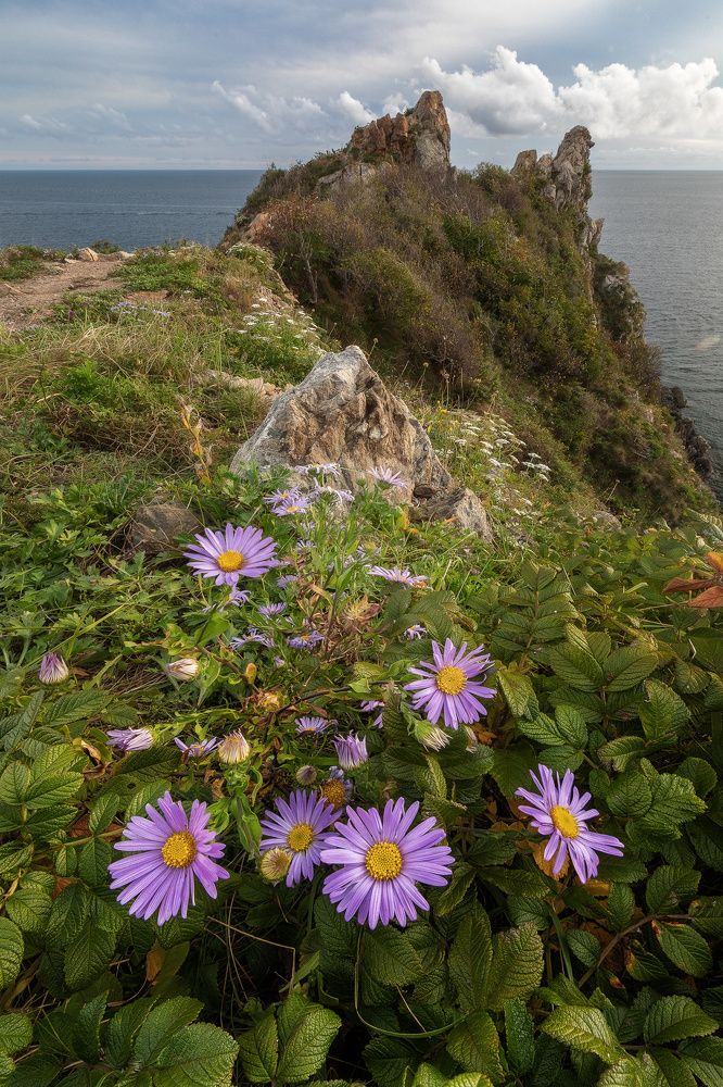 Photograph by Константин Маланин