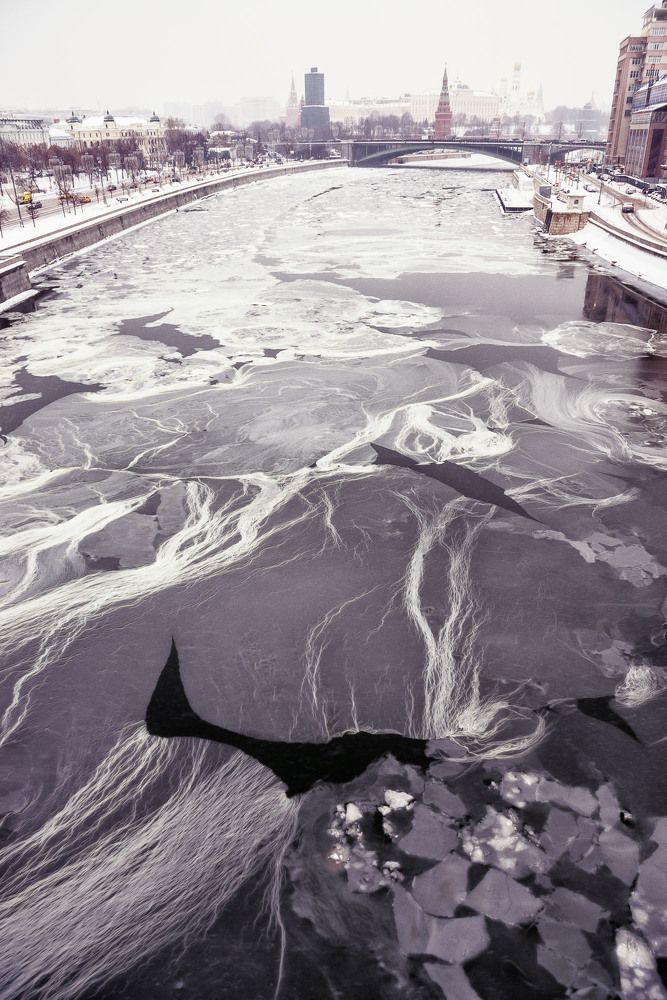 Photograph by Низовцева Елена