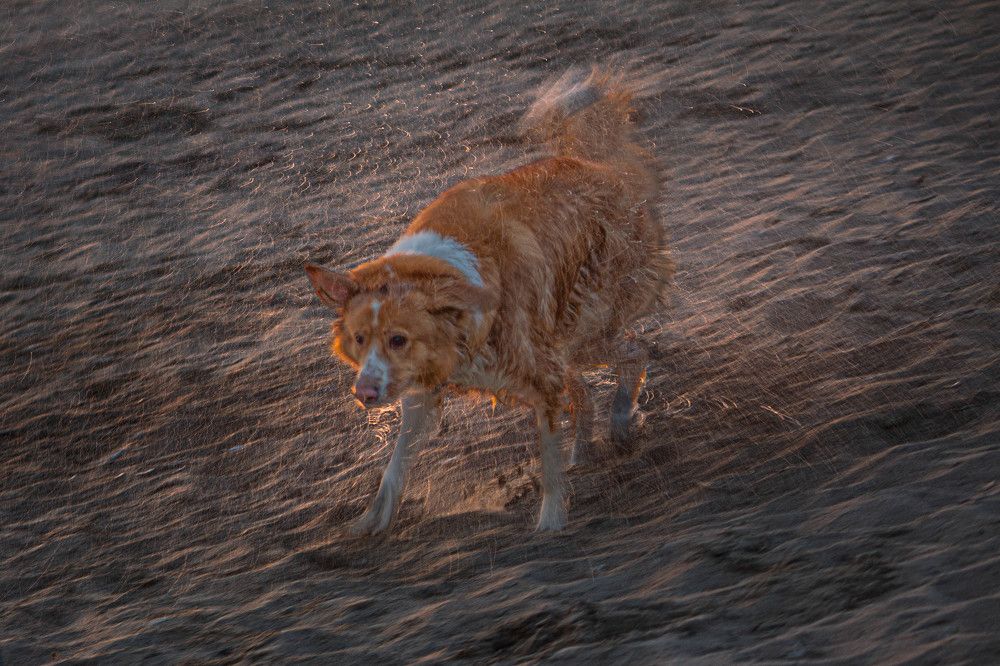 Photograph by Ольга Ильина