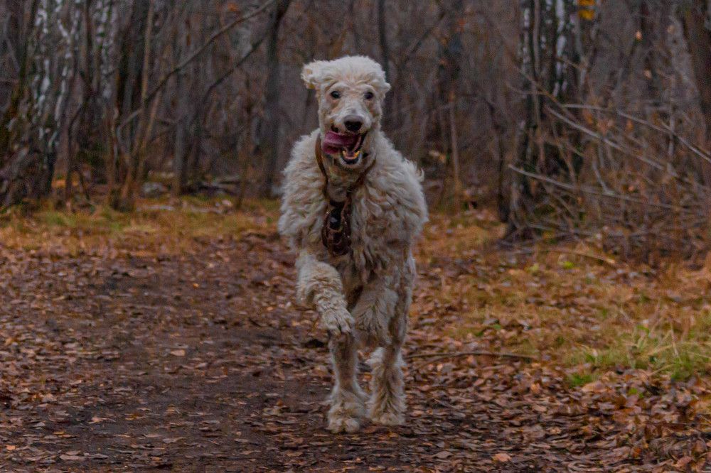 Photograph by Ольга Ильина