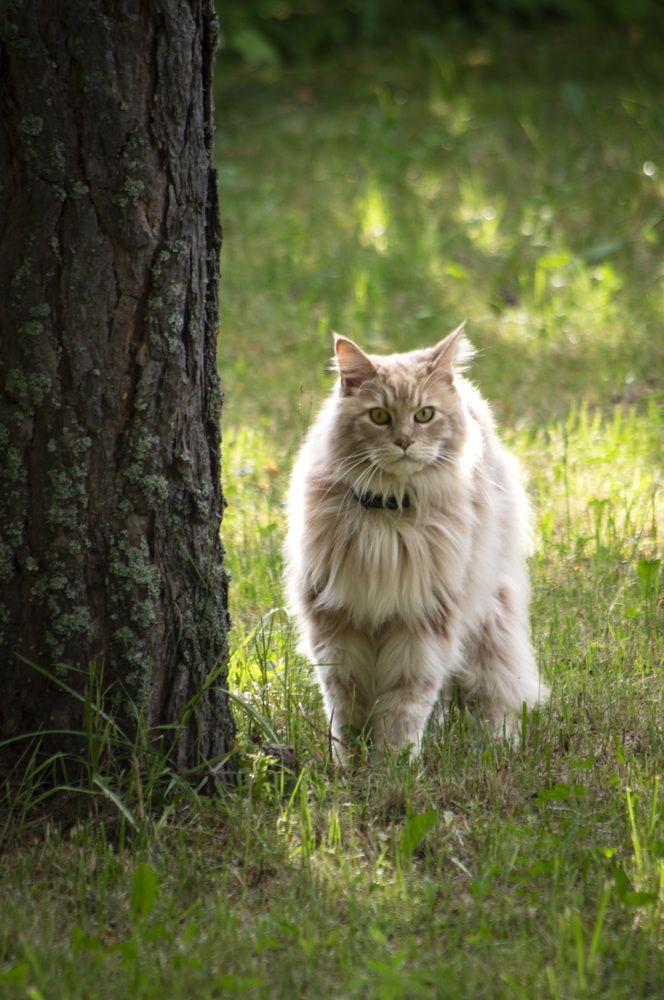 Photograph by Marina Lucenko