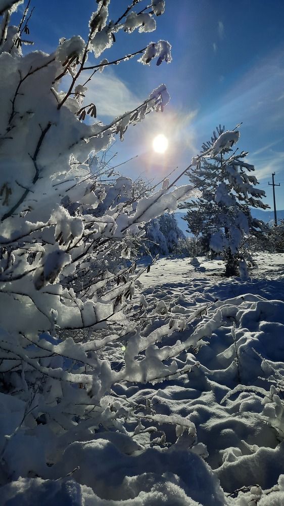 Photograph by Denisa