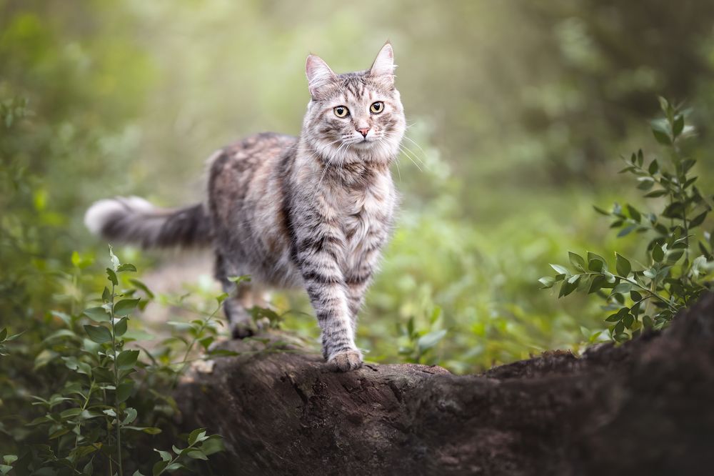 Photograph by Leticia Hernandez