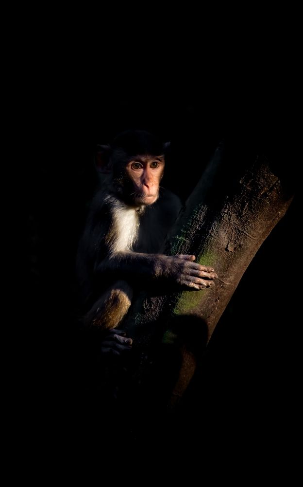 Photograph by Shadab Ishtiyak