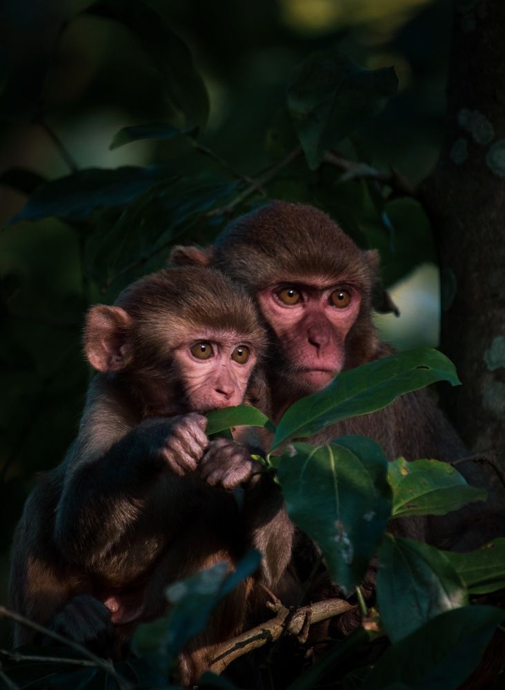 Photograph by Shadab Ishtiyak