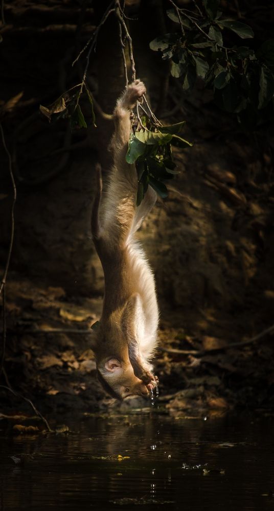 Photograph by Shadab Ishtiyak