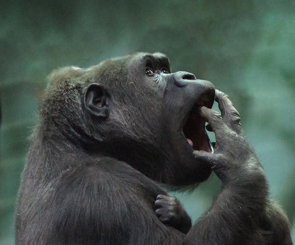 Photograph by Духанин Сергей