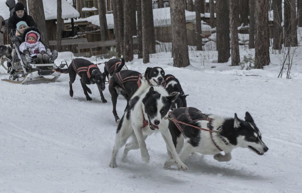 Photograph by Виктор Саврей