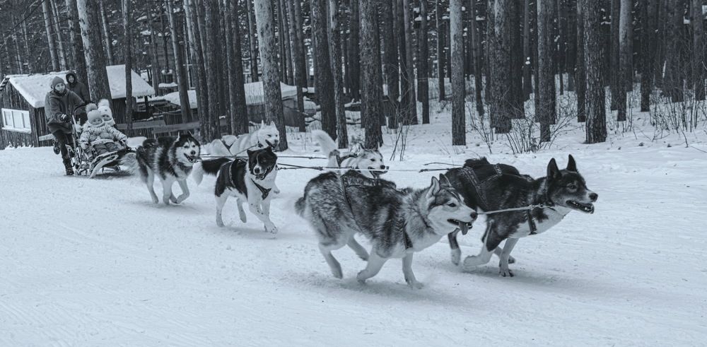 Photograph by Виктор Саврей