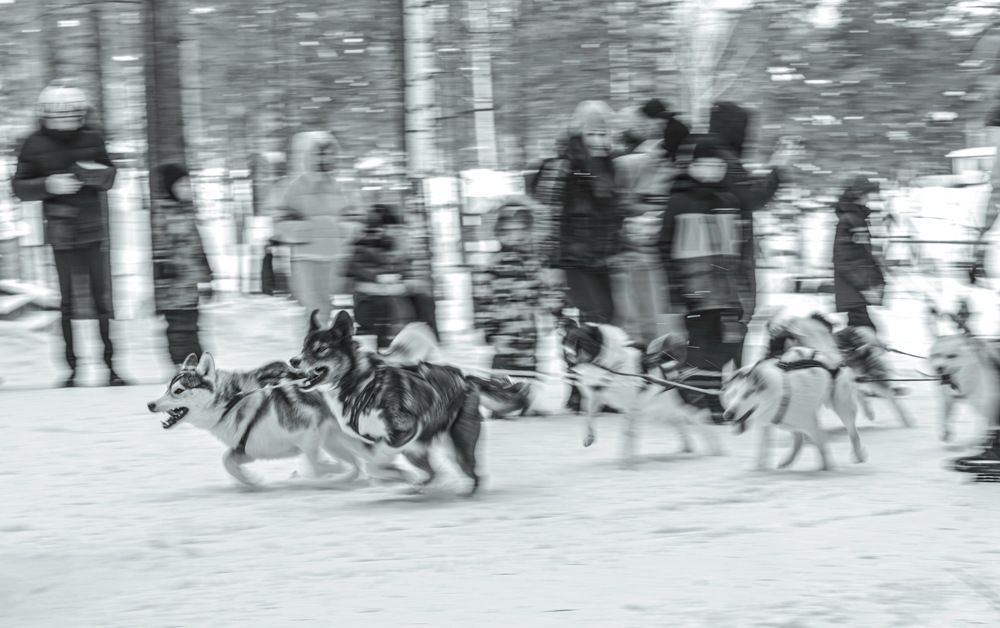 Photograph by Виктор Саврей