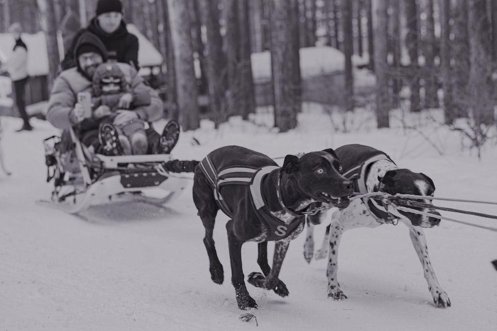 Photograph by Виктор Саврей