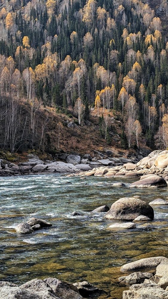 Фотография автора Марина Куркина