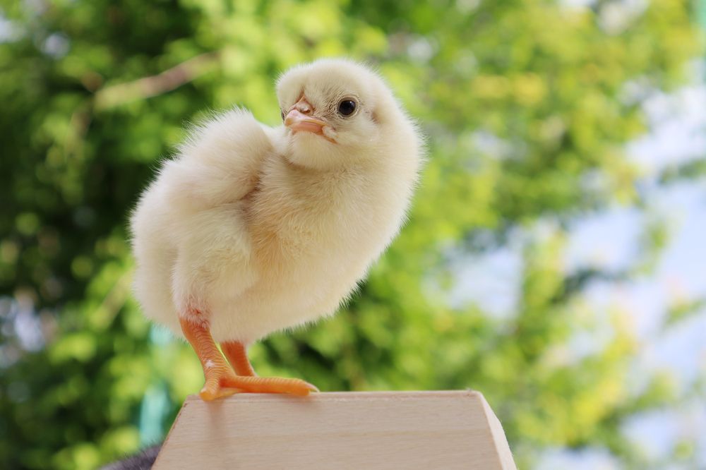 Photograph by Евгения