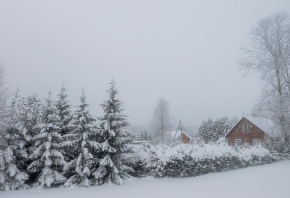 Photograph by Ineta Osipoviča