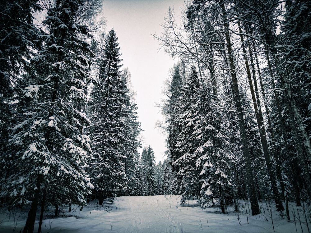 Photo #11724849