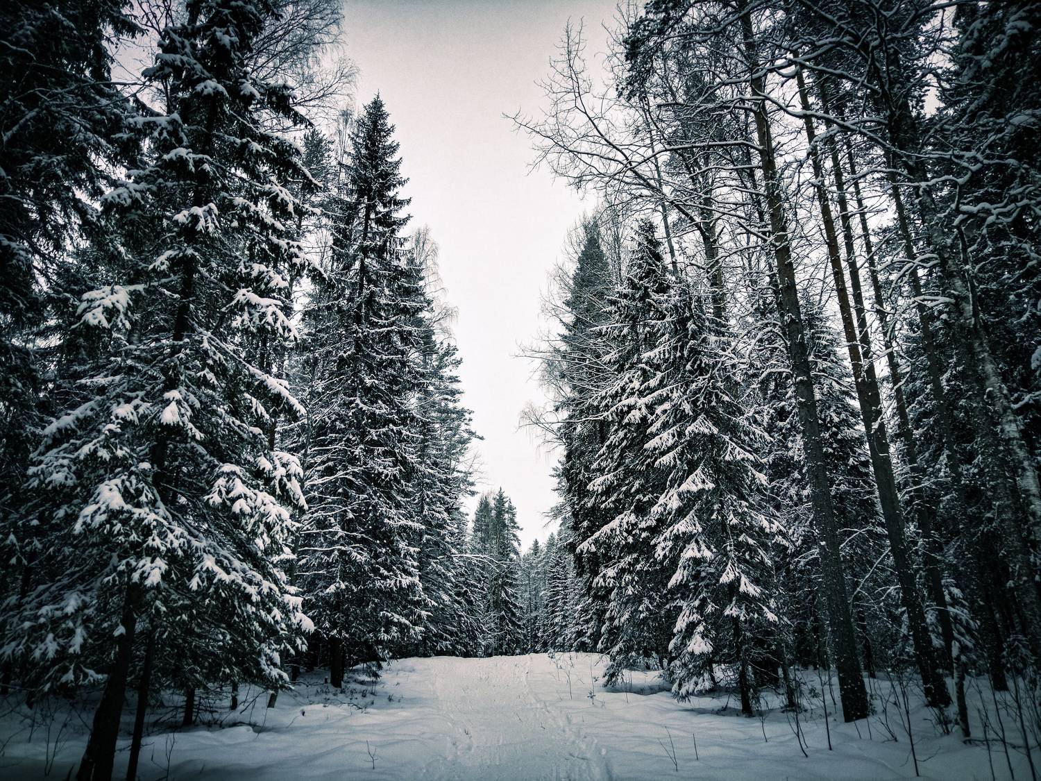 Photo #11724849