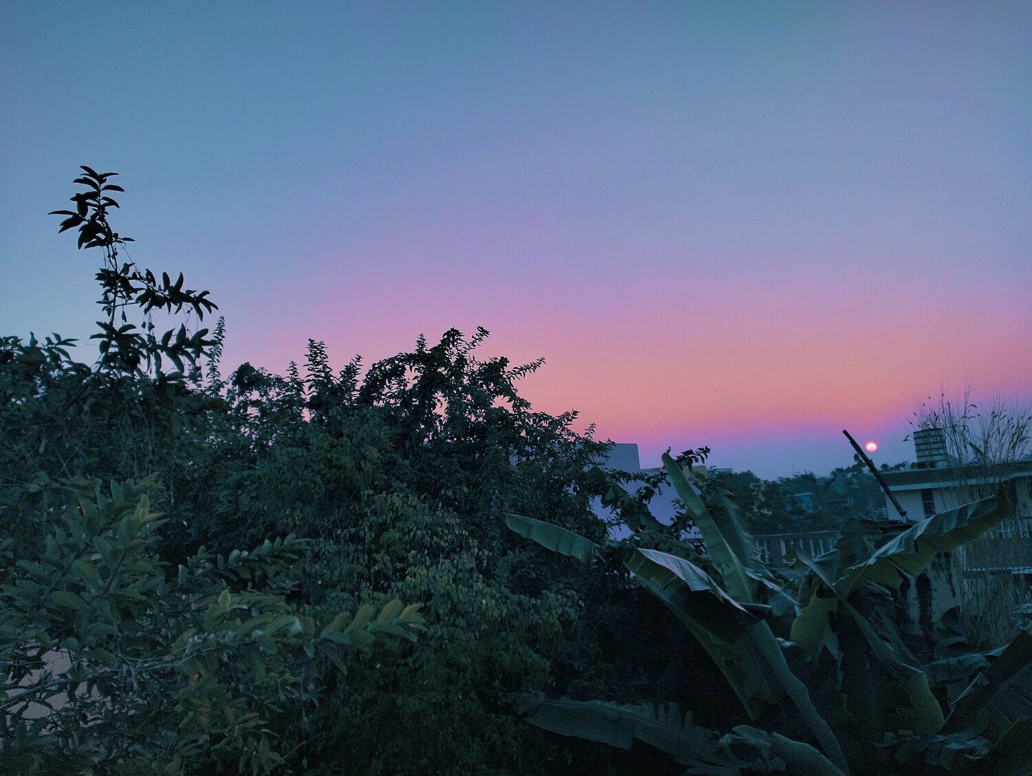 Photo #11724873