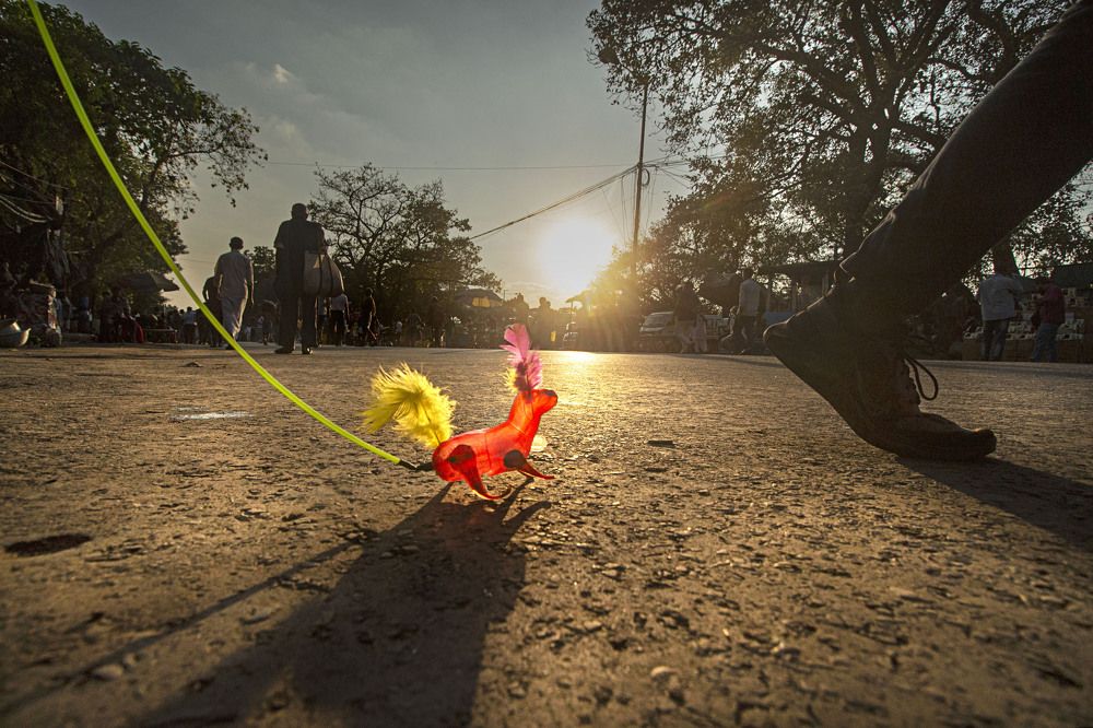 Photograph by Anindya Phani