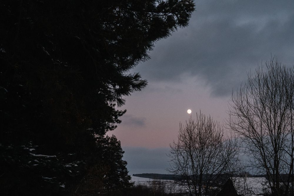 Photograph by Светлана Субботина