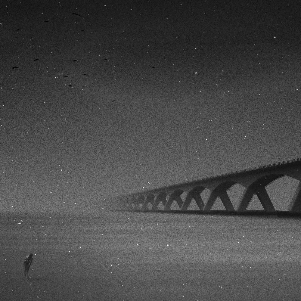 Photograph by Lana Cardi