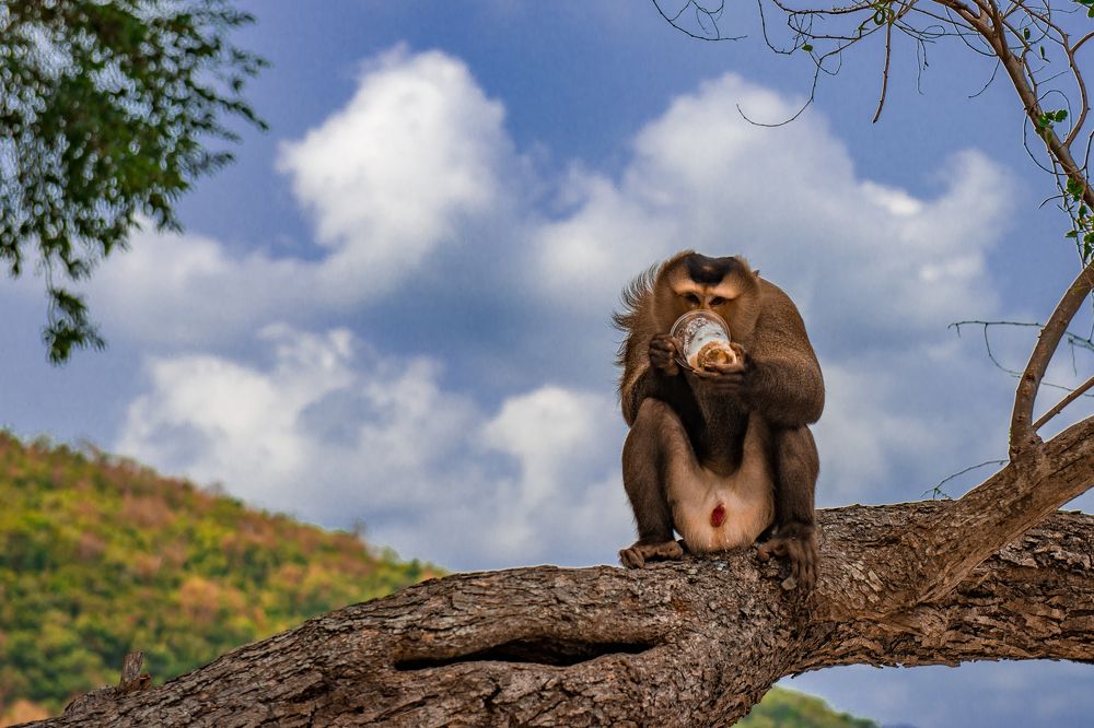 Photograph by Валерий Худынцев