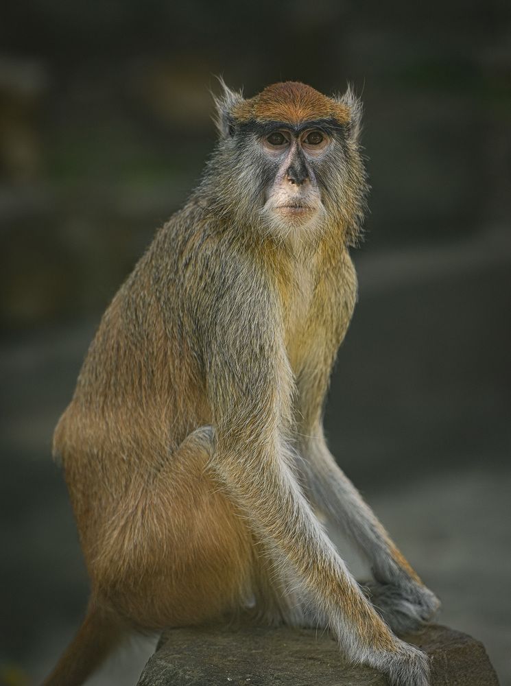 Photograph by Юрий Юрьевич Подгрушный