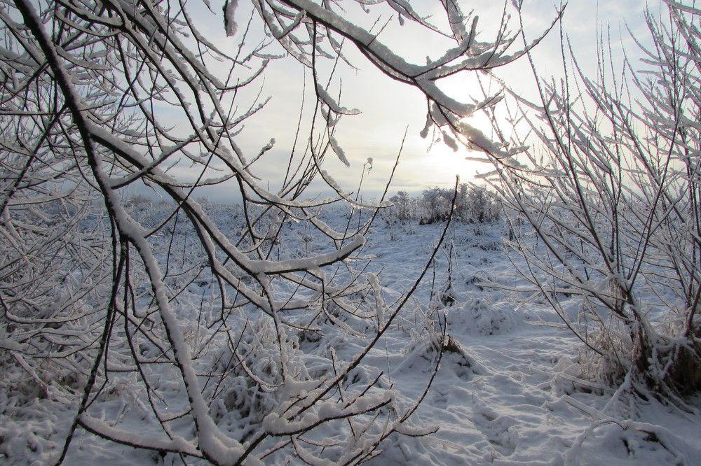 Зимняя рамка