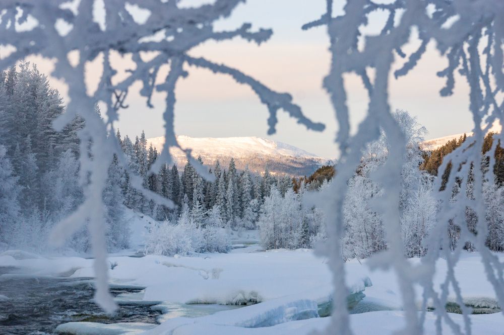 Photograph by Anna Levina