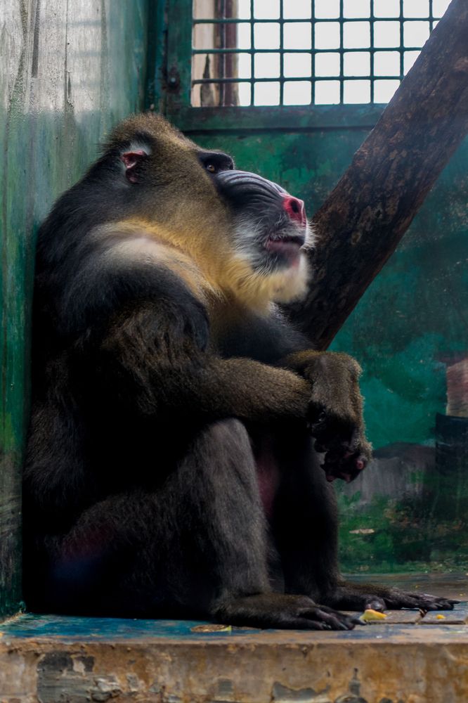 Photograph by Валерий Худынцев